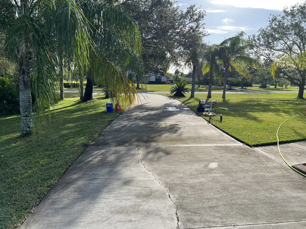 Dirty algae-stained walkway before pressure washing in Lakewood Ranch
